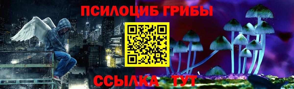 Галлюциногенные грибы Psilocybine cubensis  Вход с VPN  Азнакаево 